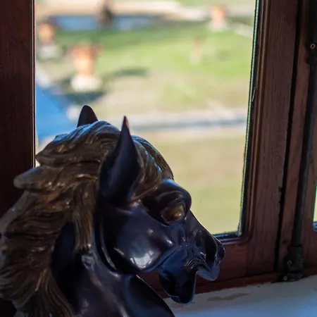 Pumperhouse Arles Camargue Villa